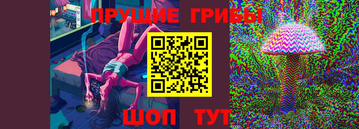 Миллерово  Псилоцибиновые грибы мицелий  Вход с VPN 